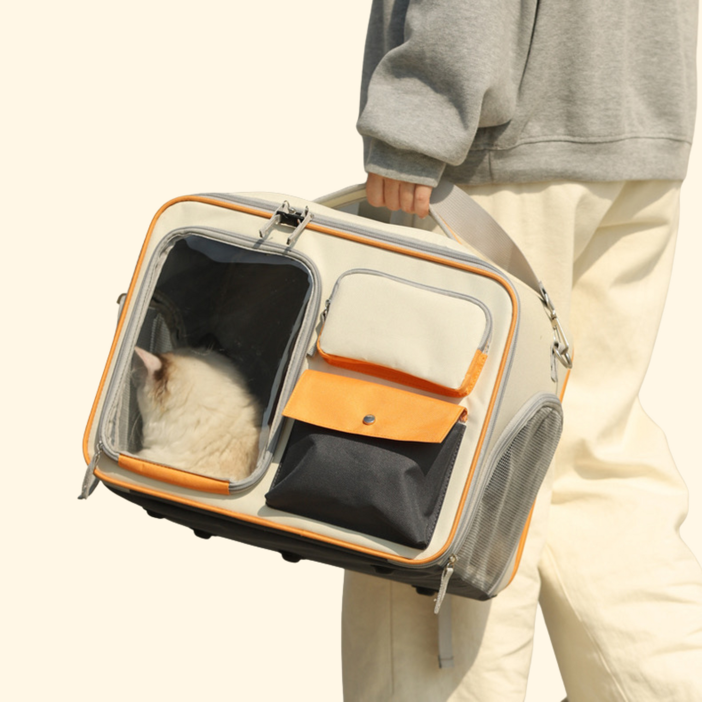 Trolley Travel Bag (C-9)