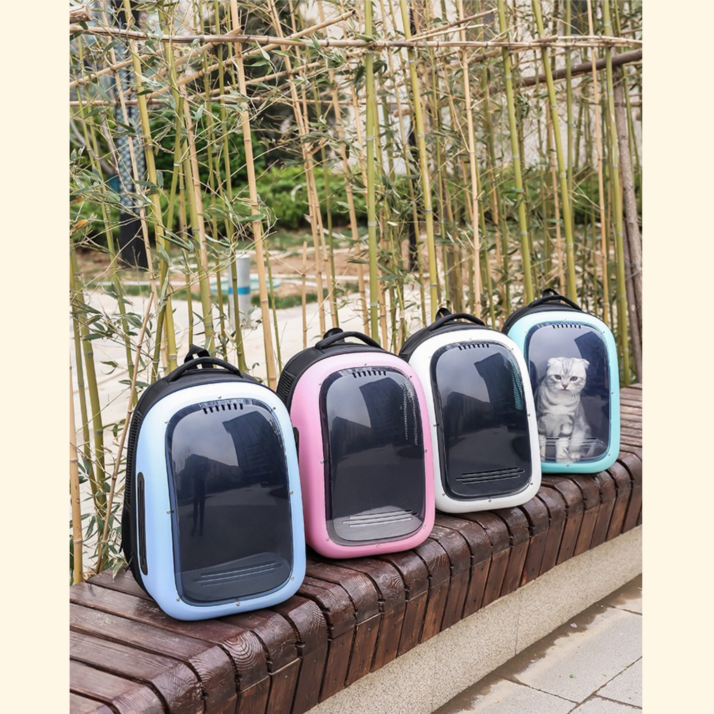 Cat Capsule Travel Bag (C-8)