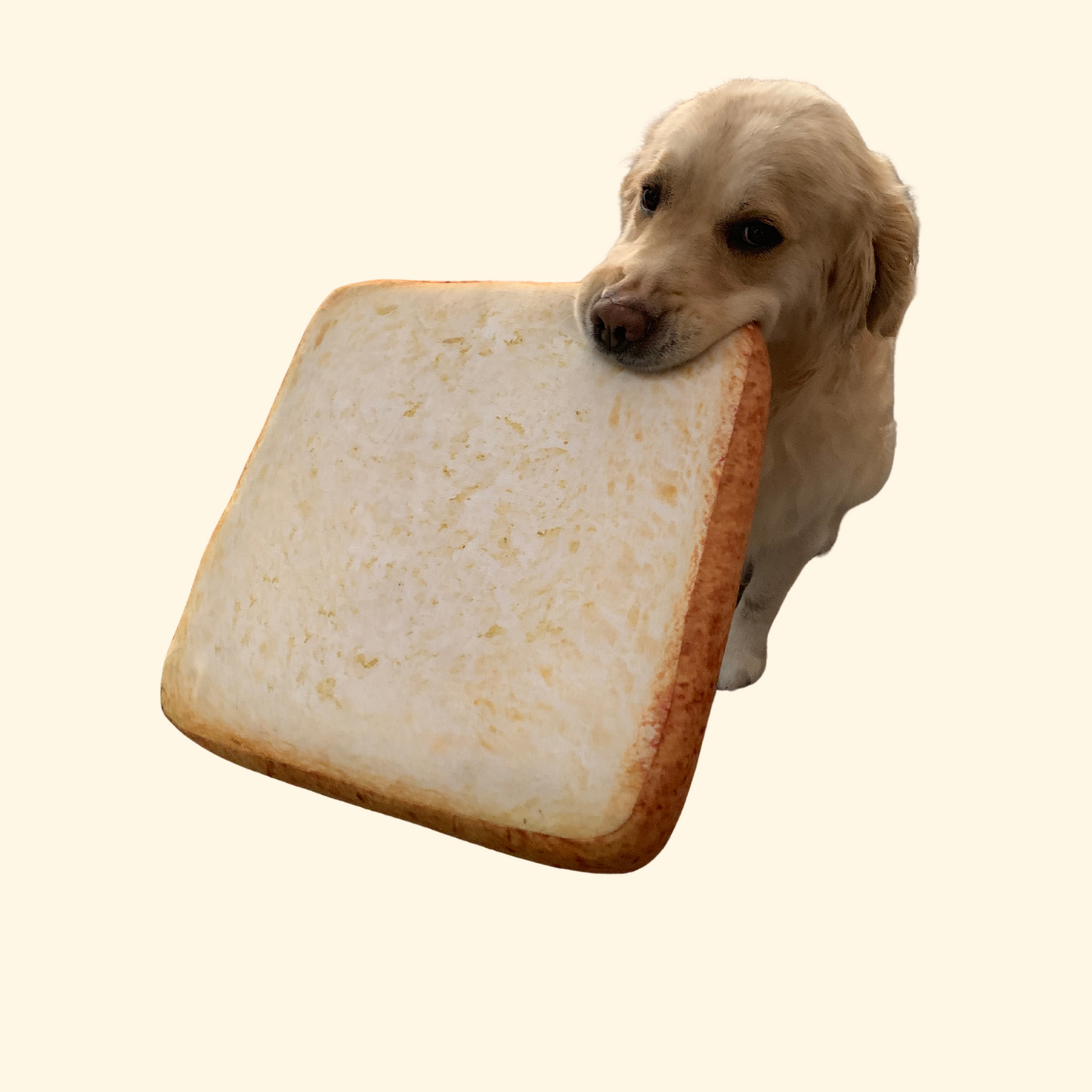Toast (T-14)
