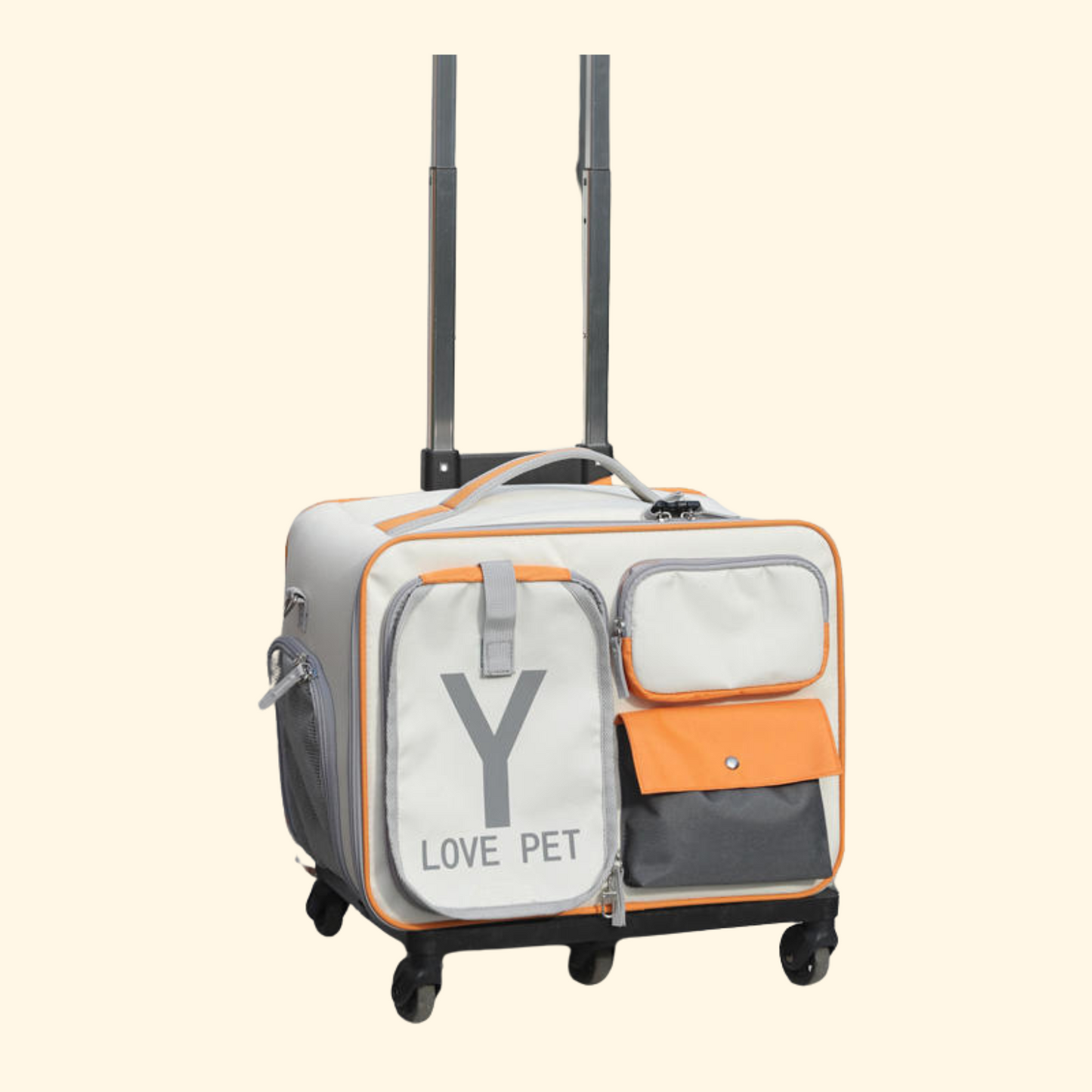 Trolley Travel Bag (C-9)