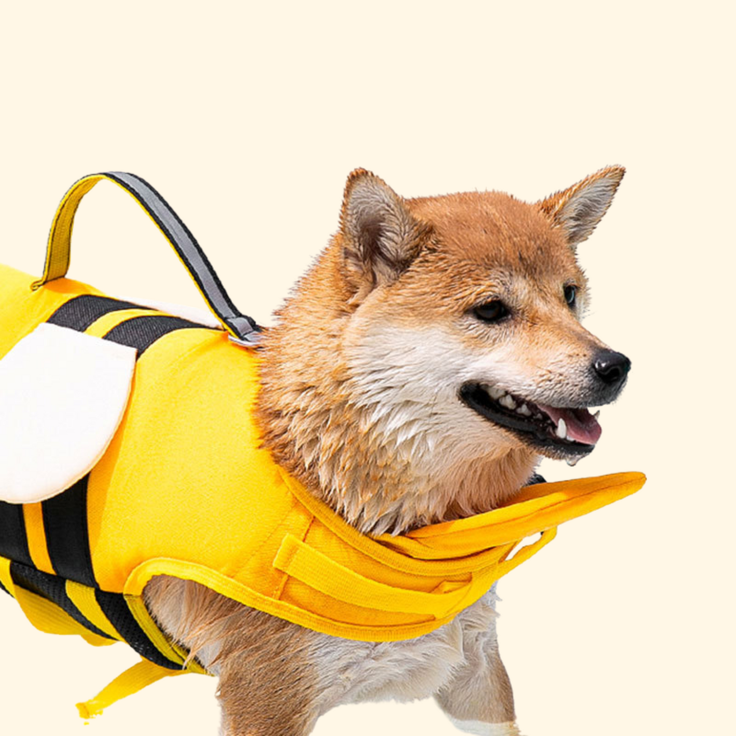 Little Bee Pet Life Jacket (S-2)