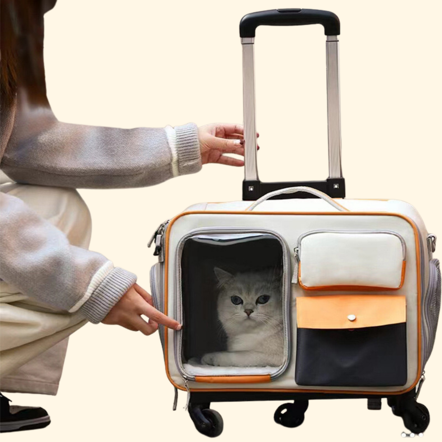 Trolley Travel Bag (C-9)
