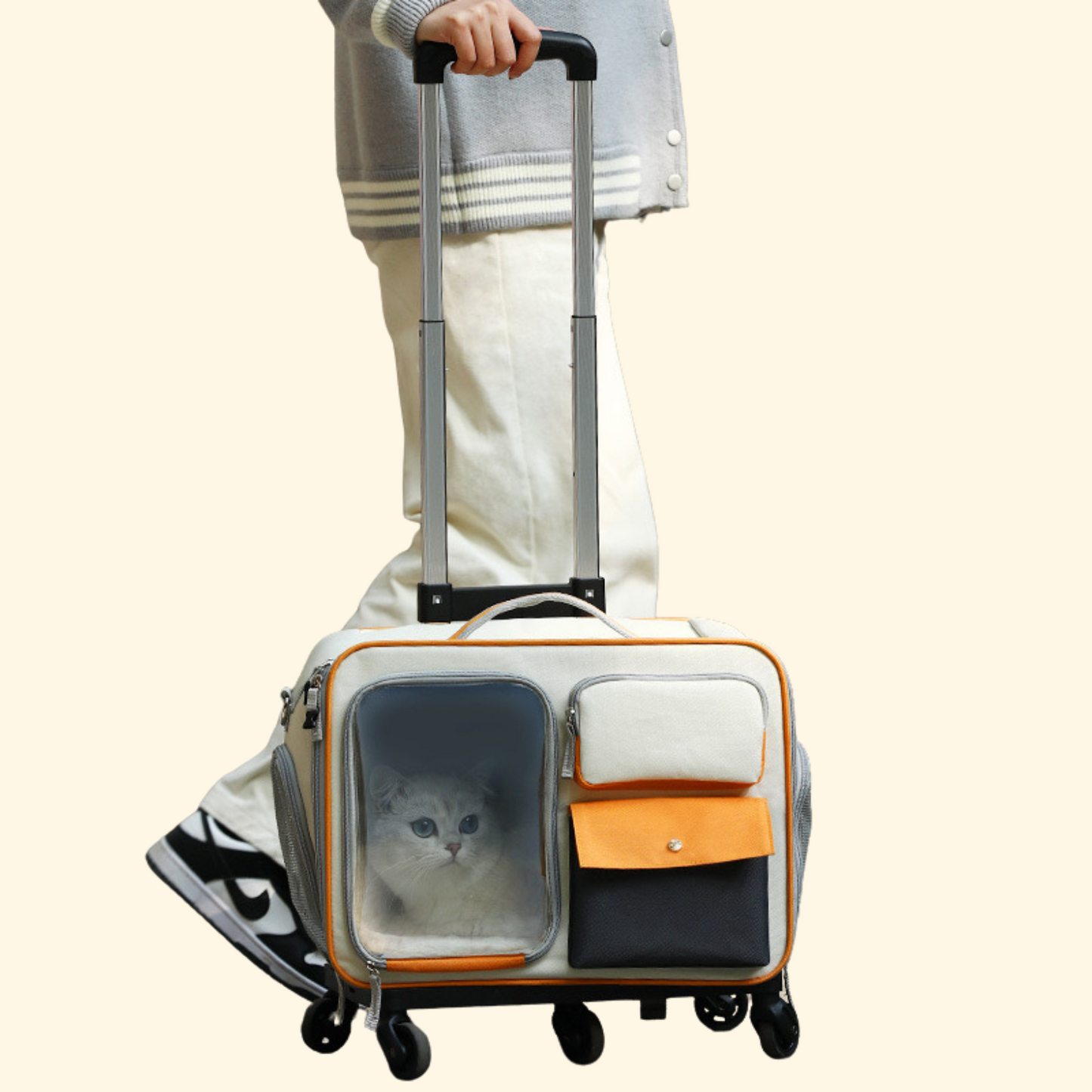 Trolley Travel Bag (C-9)
