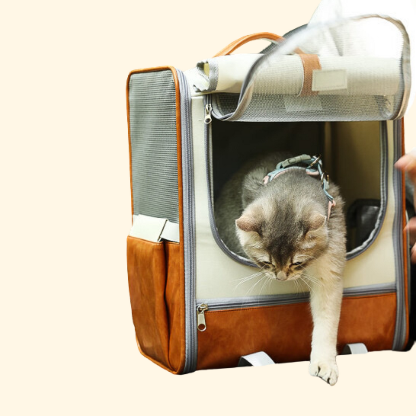 Mesh Travel Bag (C-10)