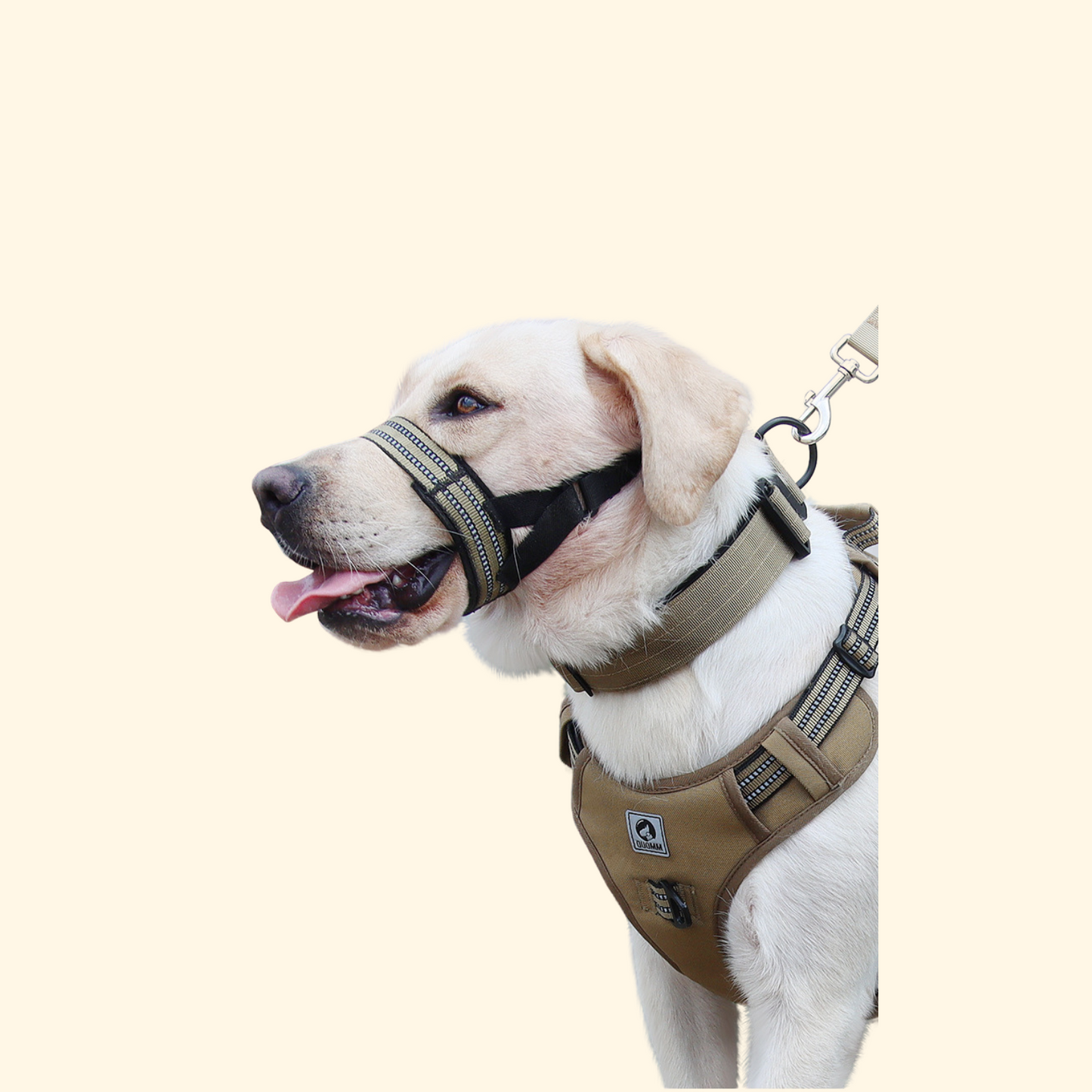 Muzzles (A-012)
