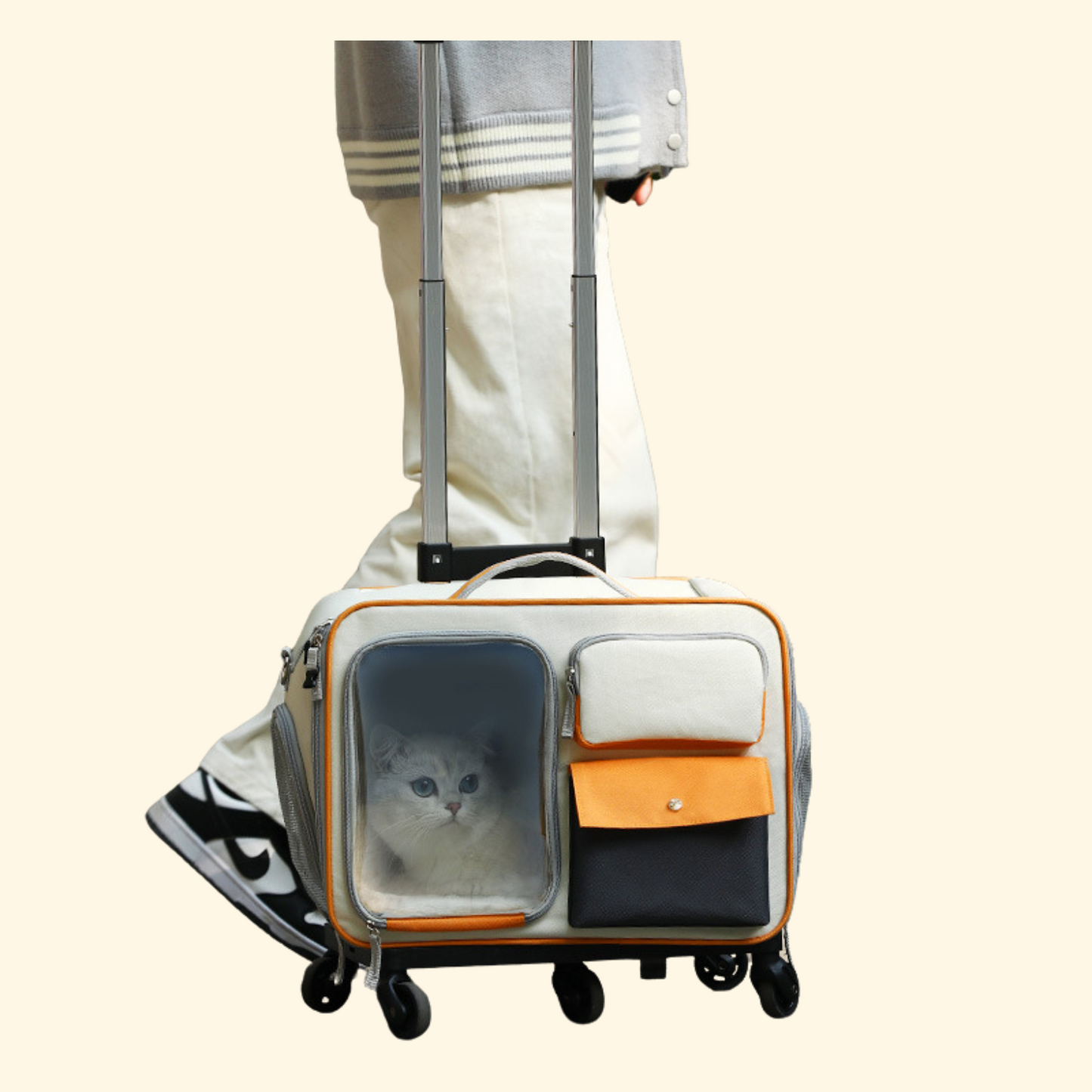 Trolley Travel Bag (C-9)