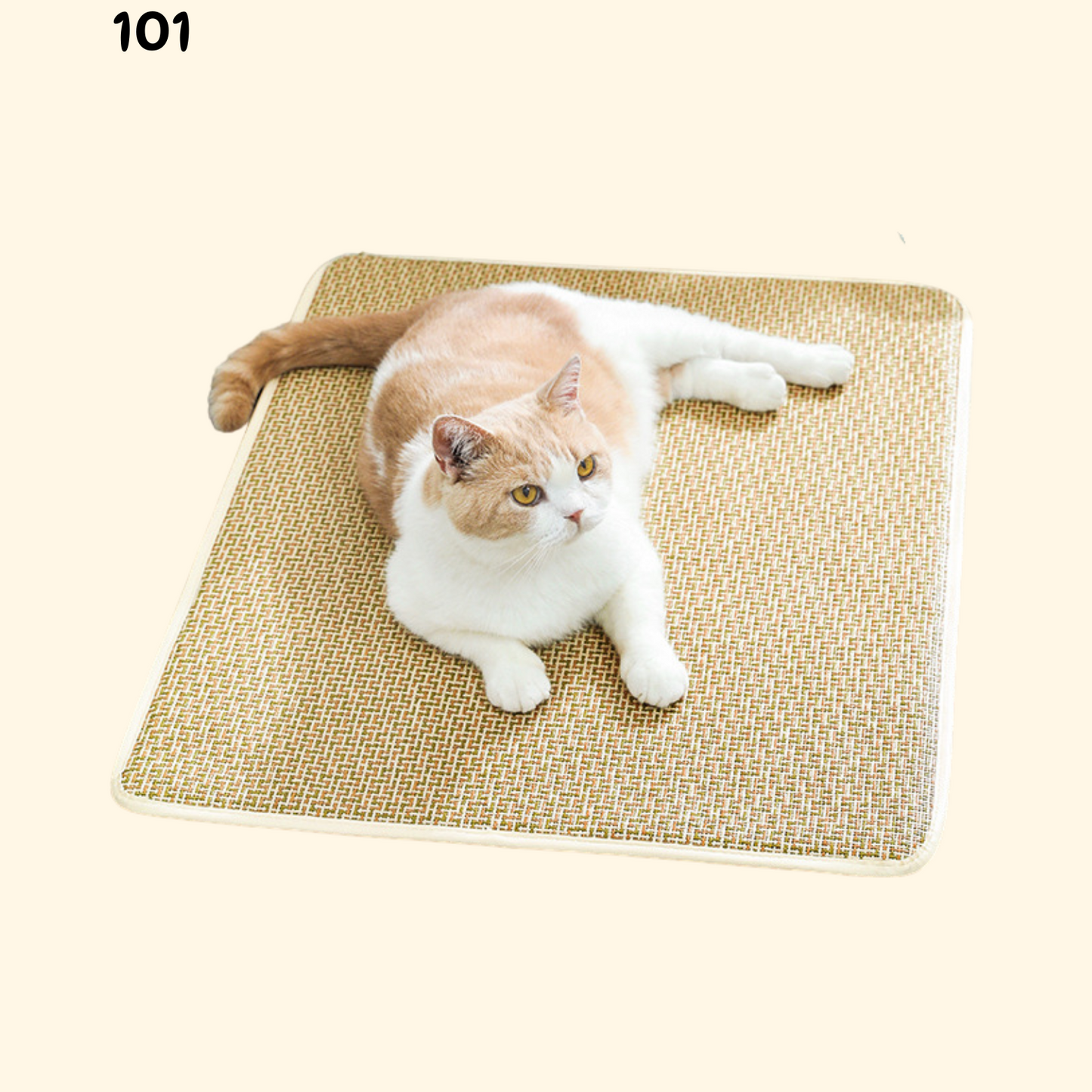 Summer Woven Rattan Mat (B-5)