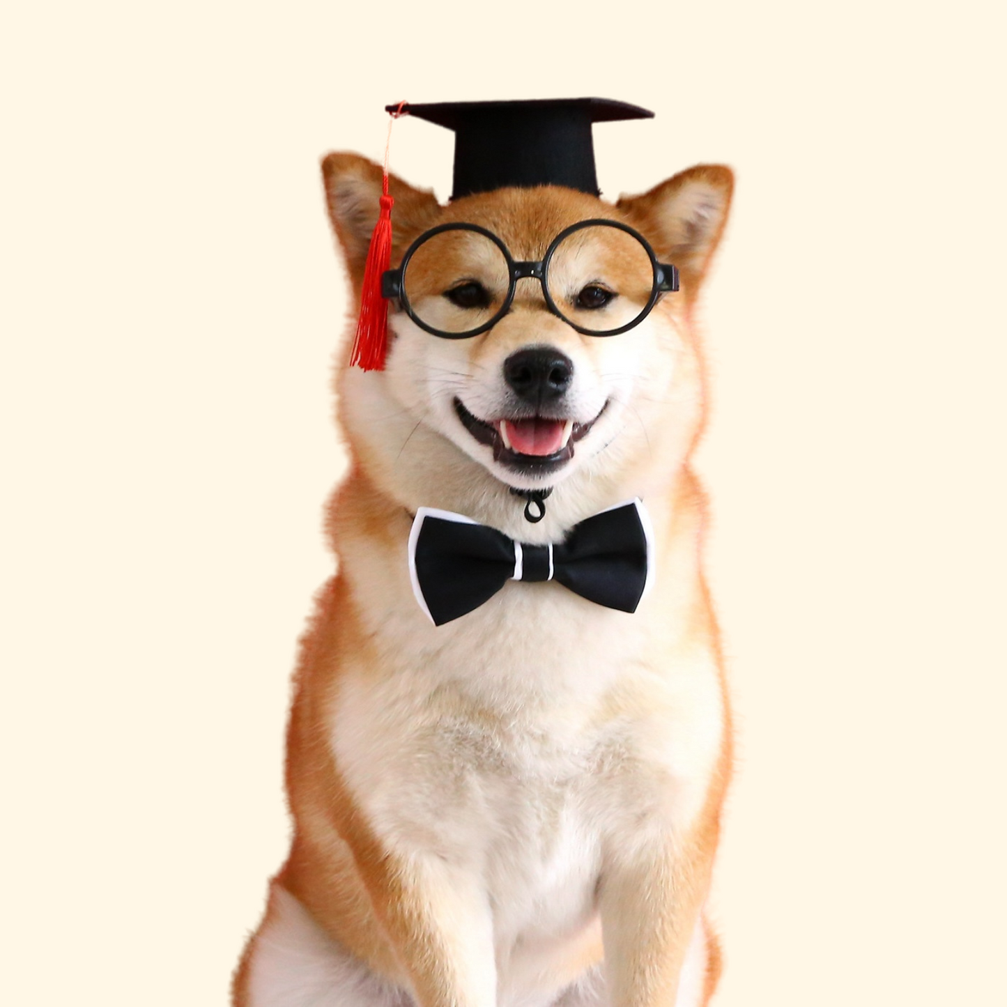 Mortarbard / Graduate Cap (A-003)