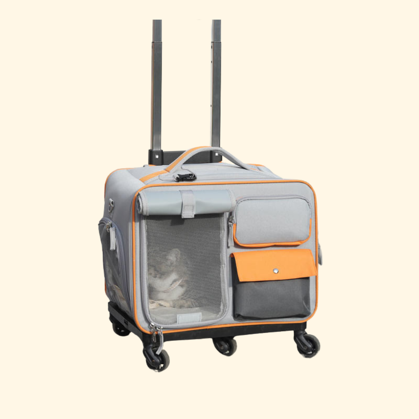 Trolley Travel Bag (C-9)