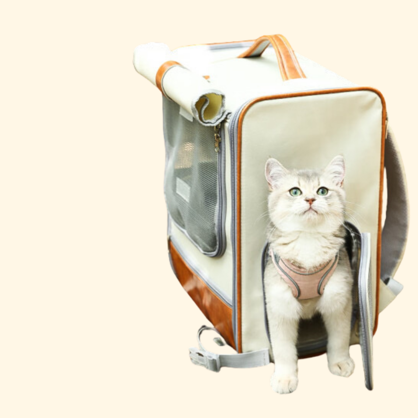 Mesh Travel Bag (C-10)
