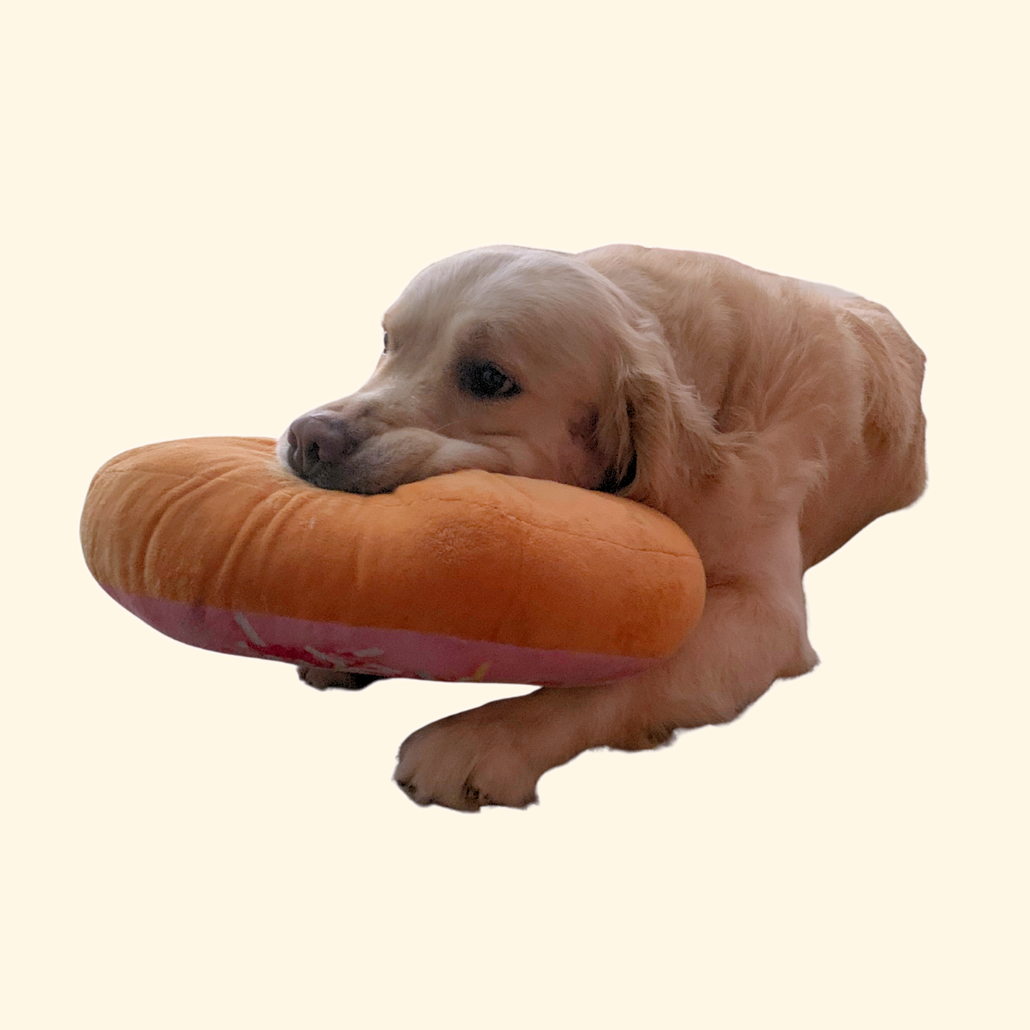 Donut Cushion (T-9)