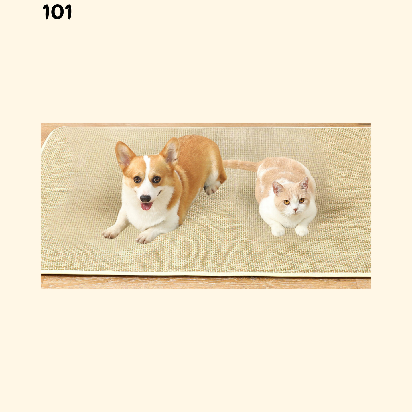 Summer Woven Rattan Mat (B-5)
