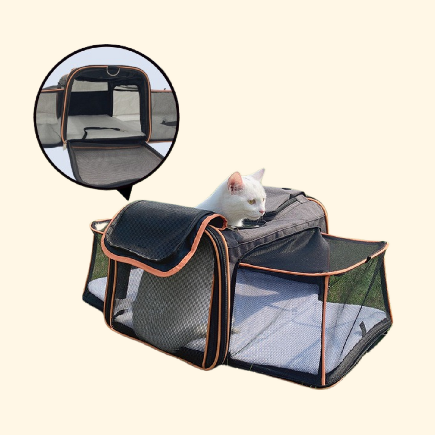 Expandable Travel Bag (C-7)