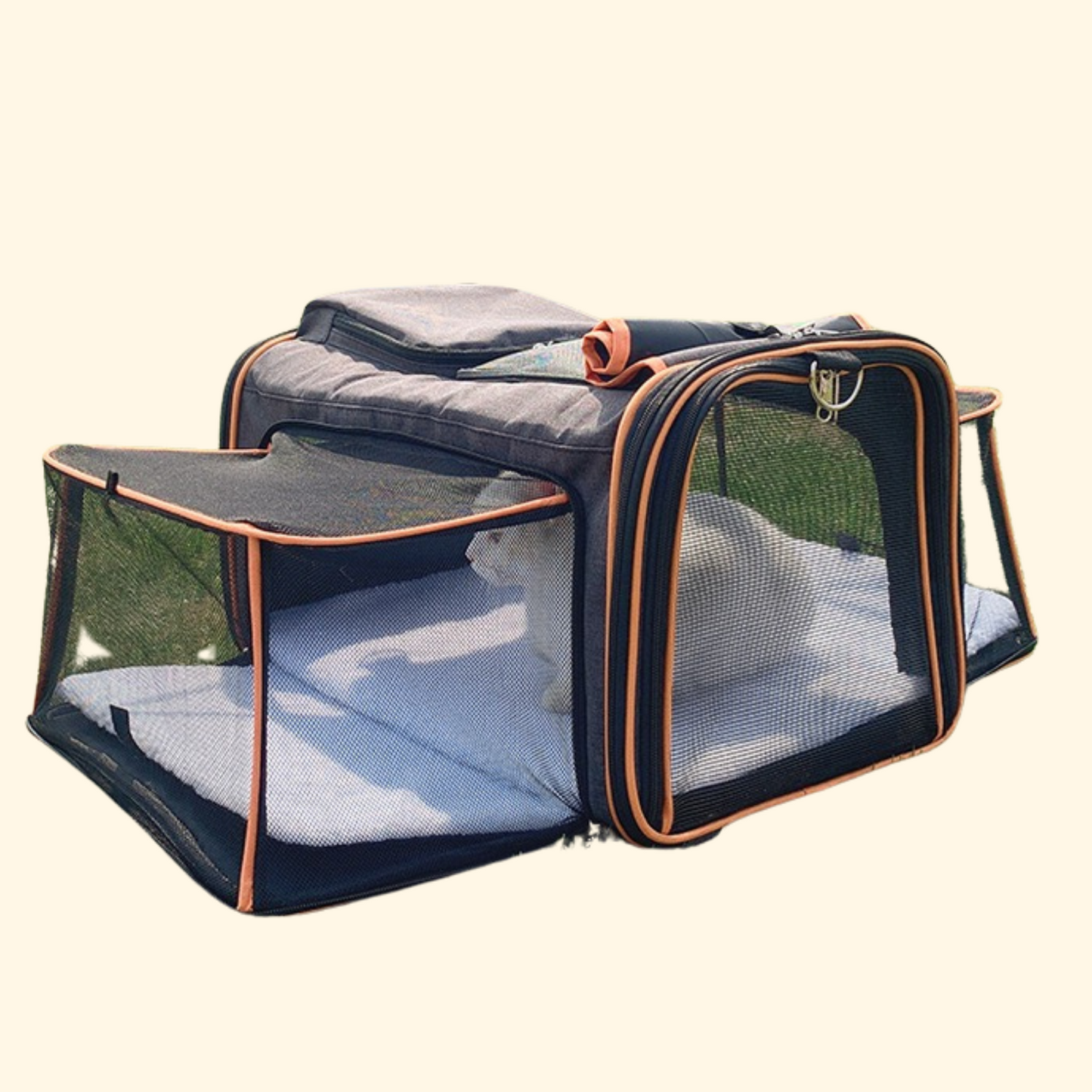 Expandable Travel Bag (C-7)