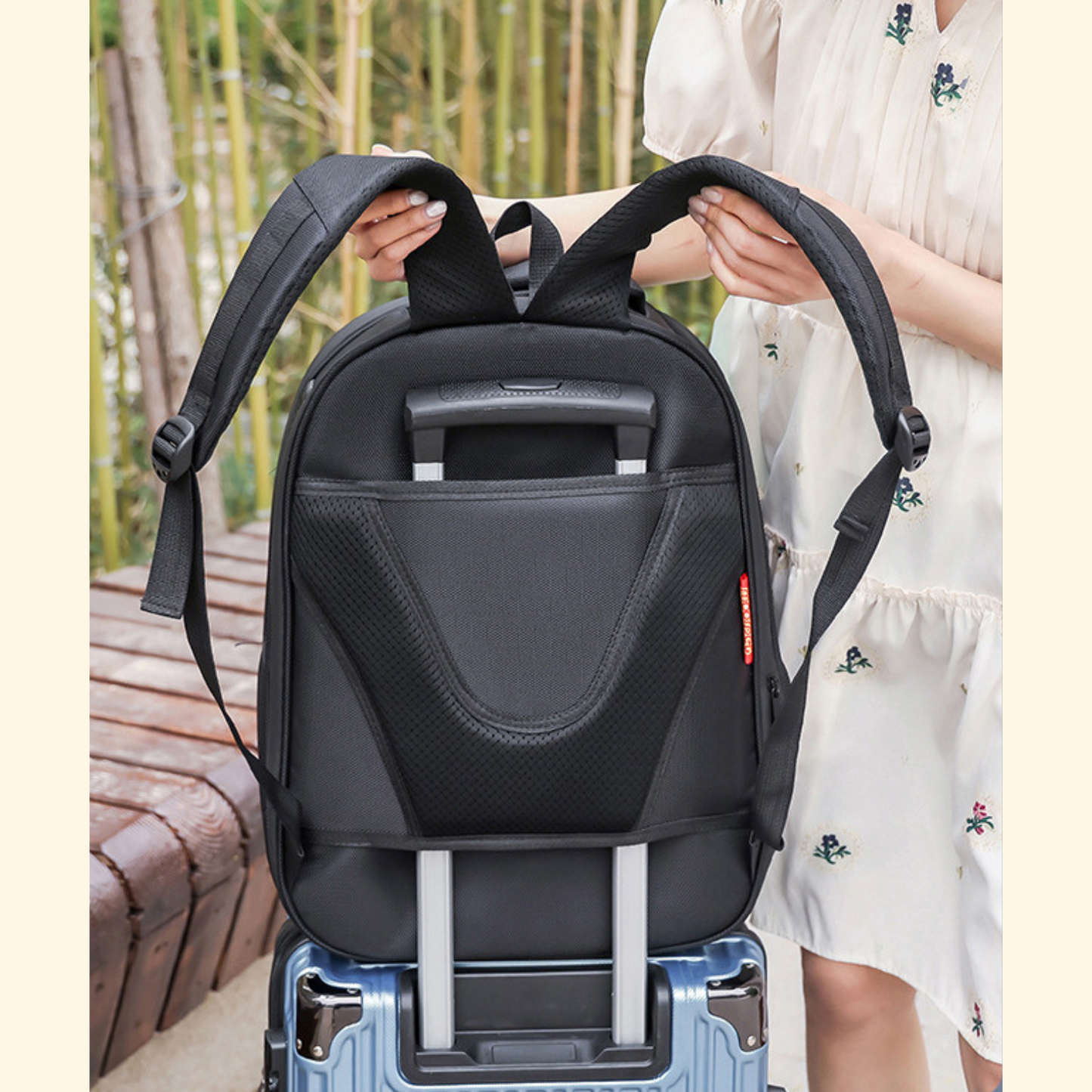 Cat Capsule Travel Bag (C-8)