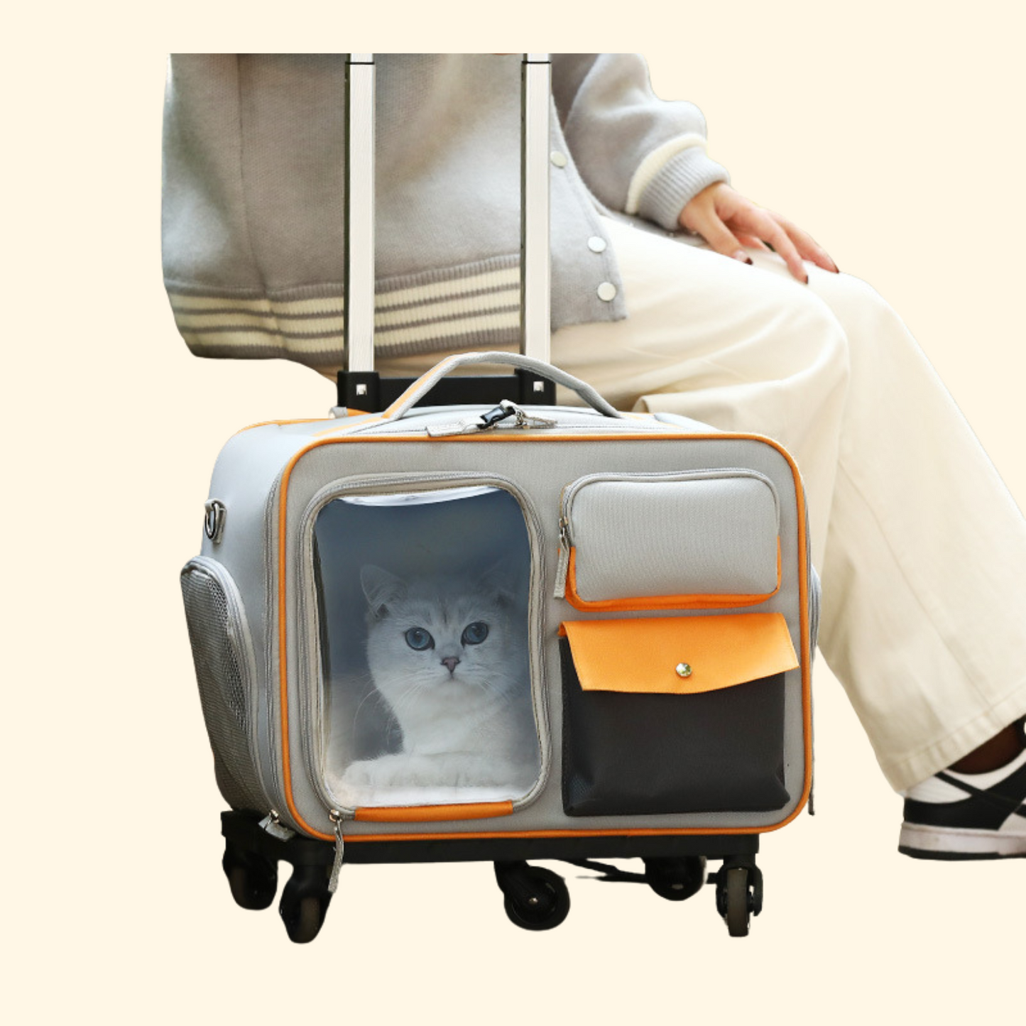 Trolley Travel Bag (C-9)
