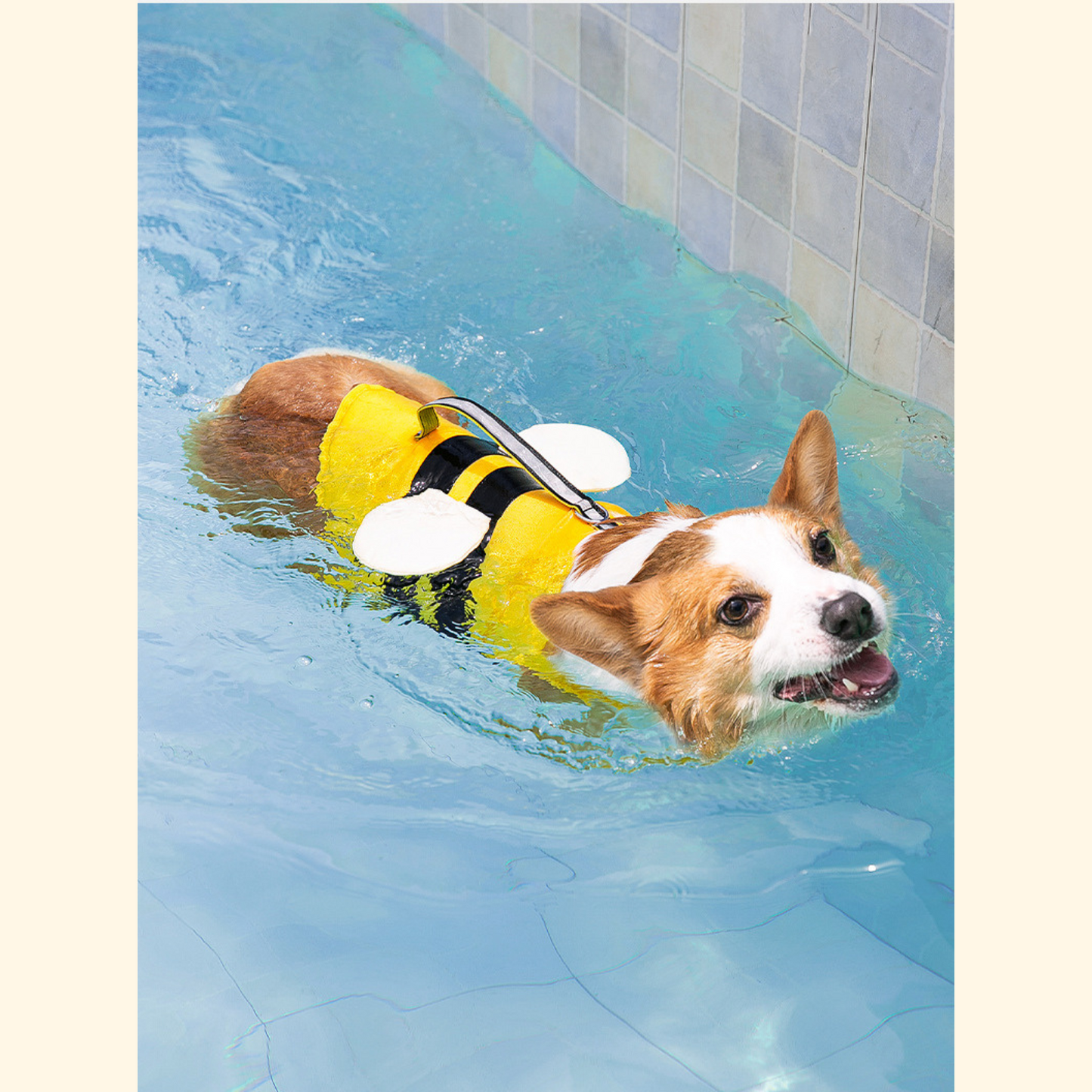 Little Bee Pet Life Jacket (S-2)