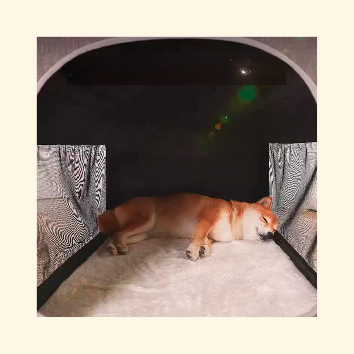 Soft House Nest for Dog (B-2)