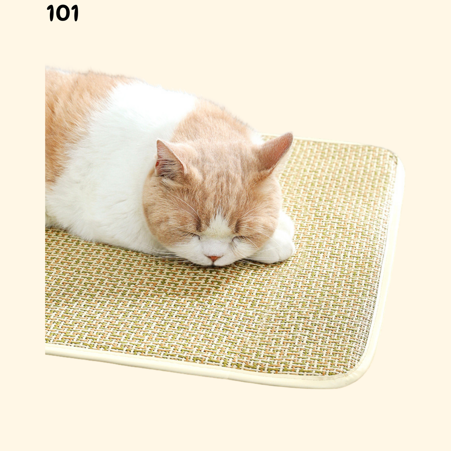 Summer Woven Rattan Mat (B-5)