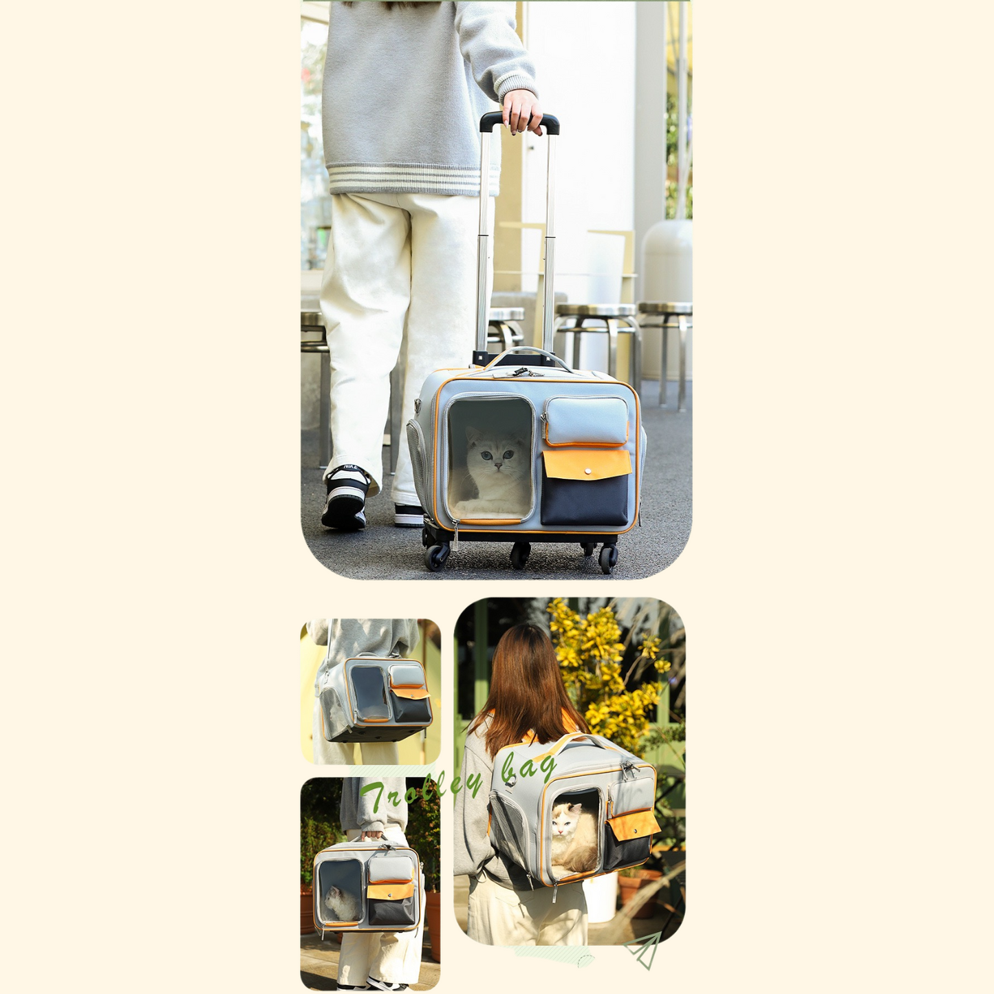 Trolley Travel Bag (C-9)