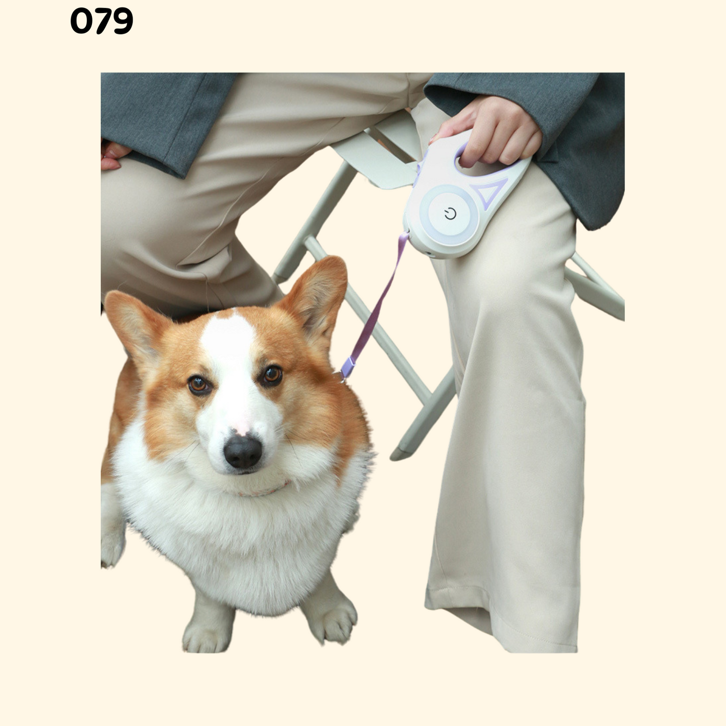Leash with Flexi Reel (L-2)