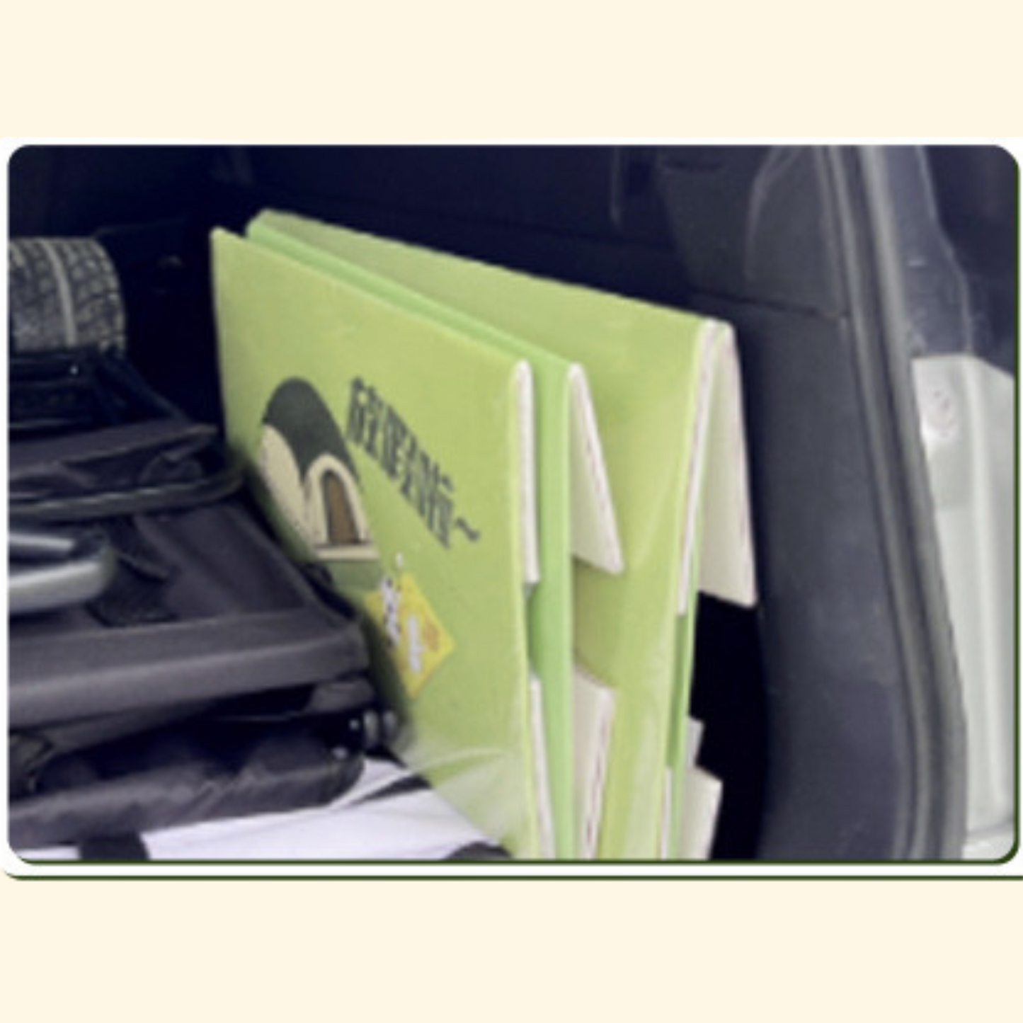 Disposable Cat Litter Box - Green (LA-7)