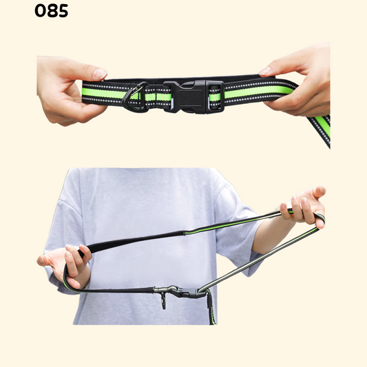 Leash for Running