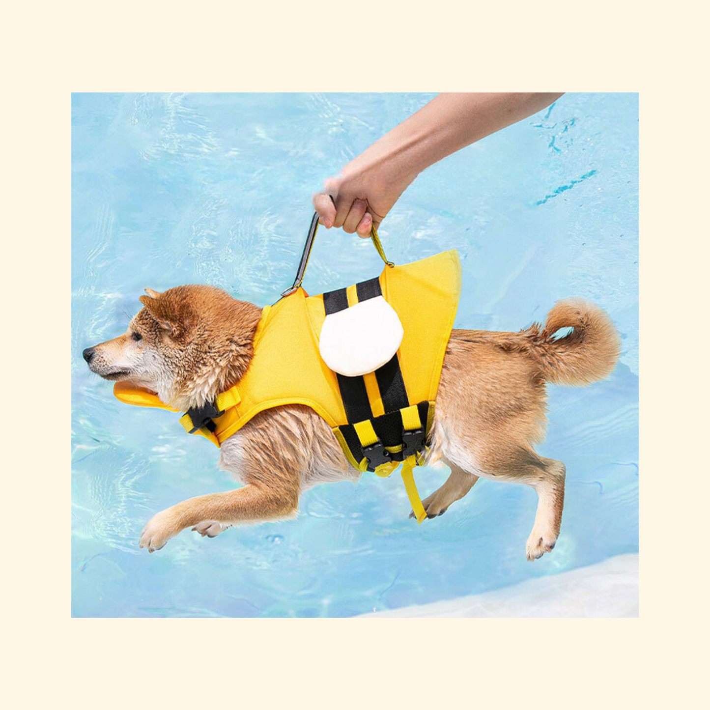 Little Bee Pet Life Jacket (S-2)