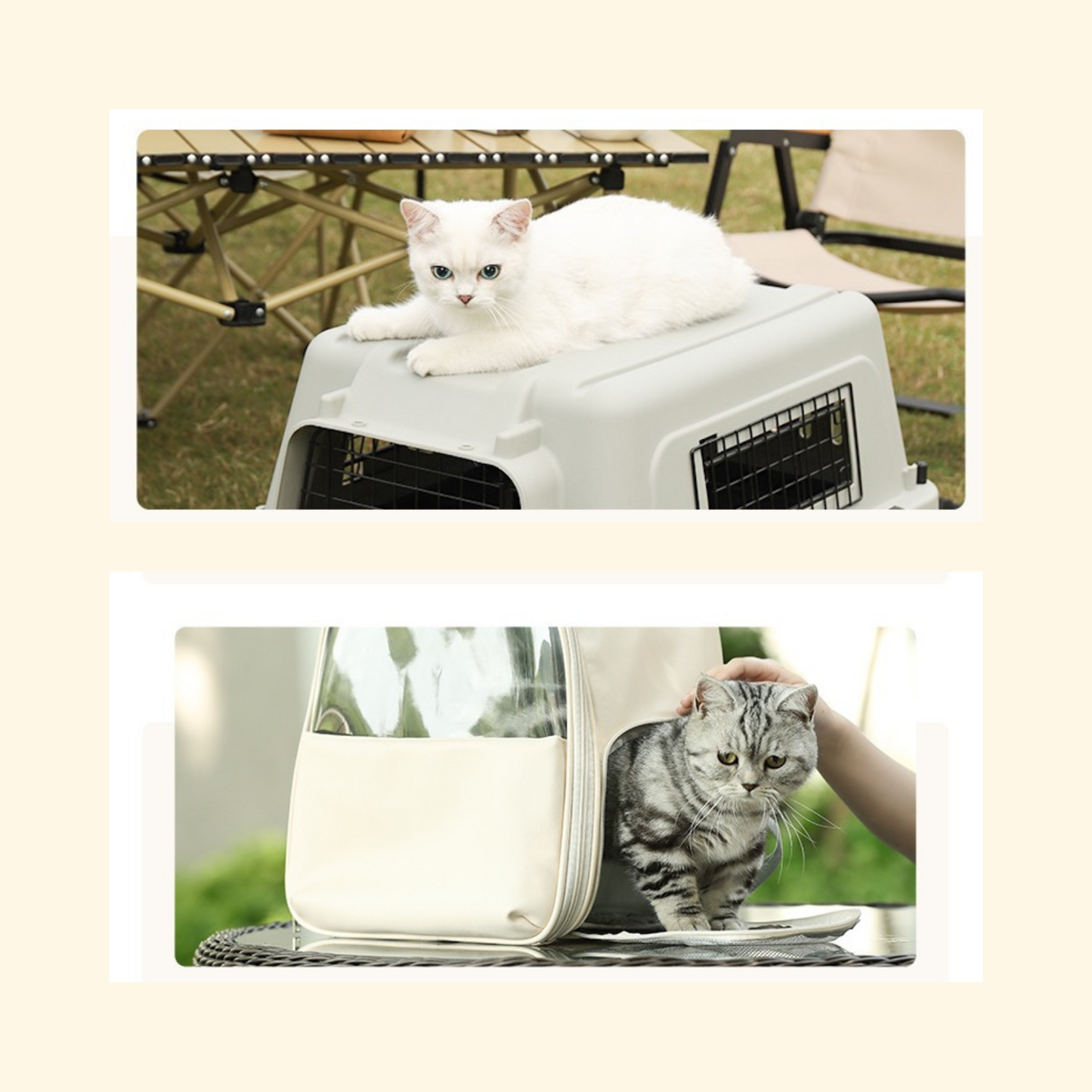 Disposable Cat Litter Box - Green (LA-7)