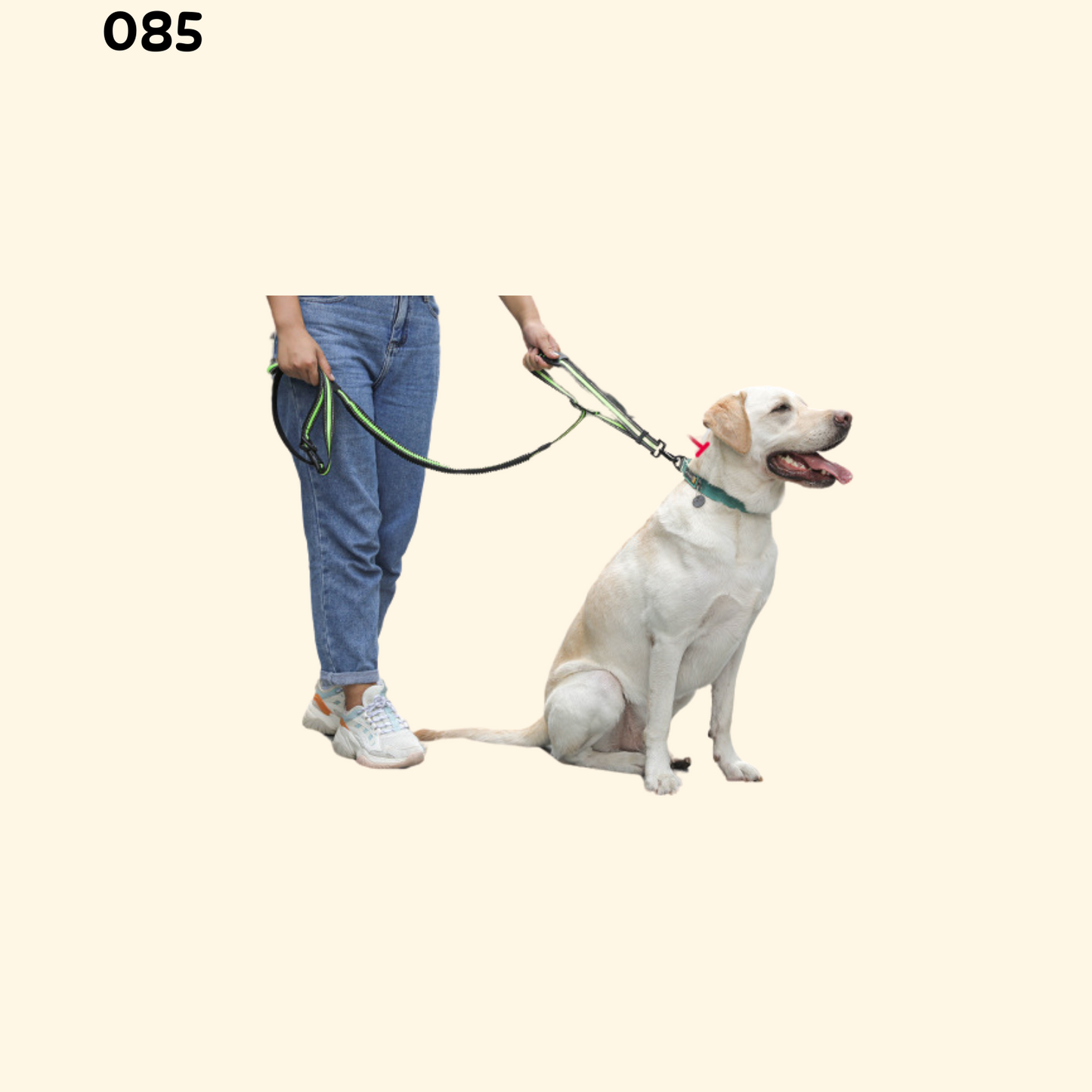 Leash for Run (L-3)