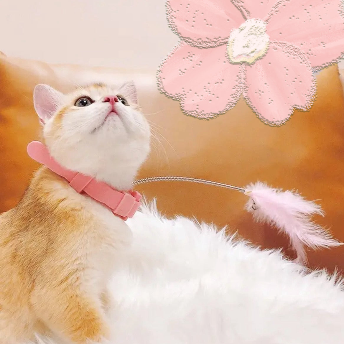 Cat Teaser Collar (T-22)
