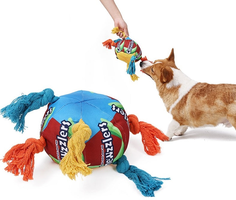 Rainbow Ball for Dogs (T-2)