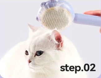 Grooming Brush (G-1)