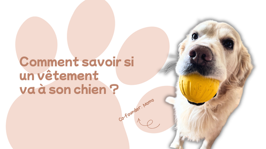 Comment savoir si un vêtement va à son chien ?