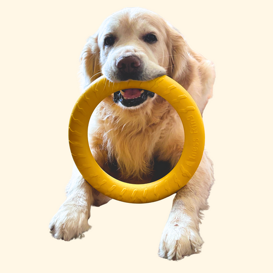 Chewing/Pulling Toys (T-11)