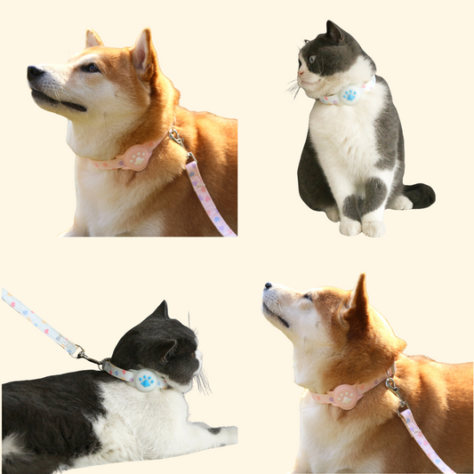 Airtag Protection Collar (A-005)