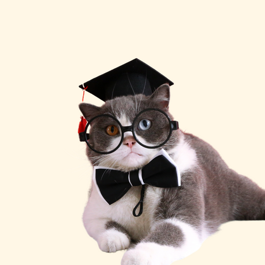 Mortarbard / Graduate Cap (A-003)
