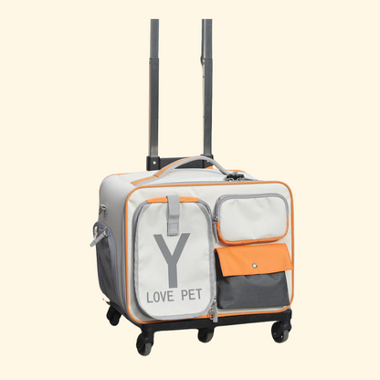 Trolley Travel Bag (C-9)