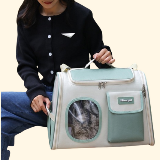 Portable Shoulder Travel Bag (C-5)