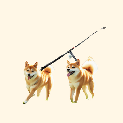 Dual-ended Leash (L-1)