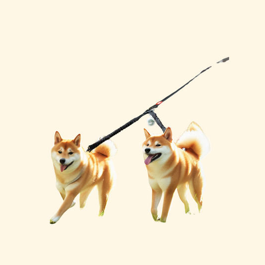Dual-ended Leash (L-1)