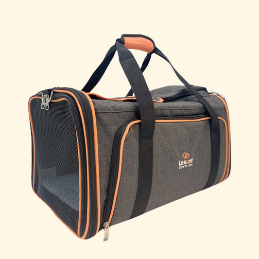 Expandable Travel Bag (C-7)