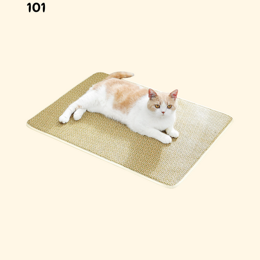 Summer Woven Rattan Mat (B-5)
