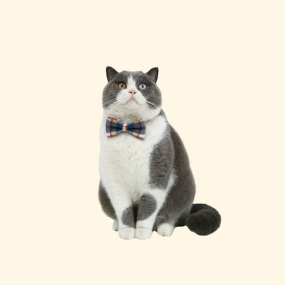 British Style Bow/Tie Collar (A-009)