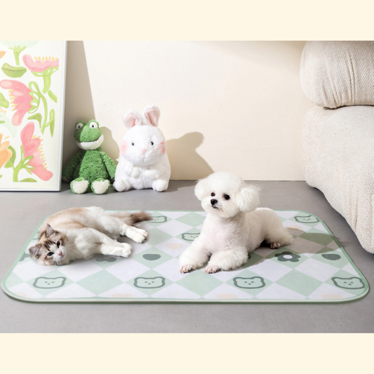 All-season Waterproof Mat (B-1)