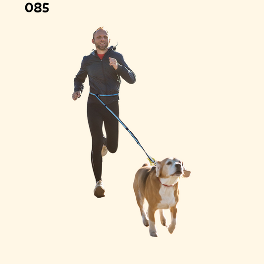Leash for Run (L-3)