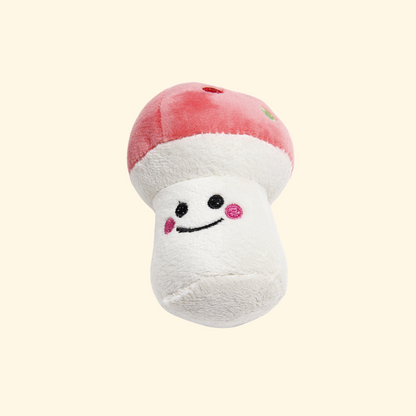 Plush Chewing Toys (T-12)