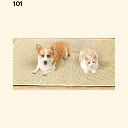 Summer Woven Rattan Mat (B-5)