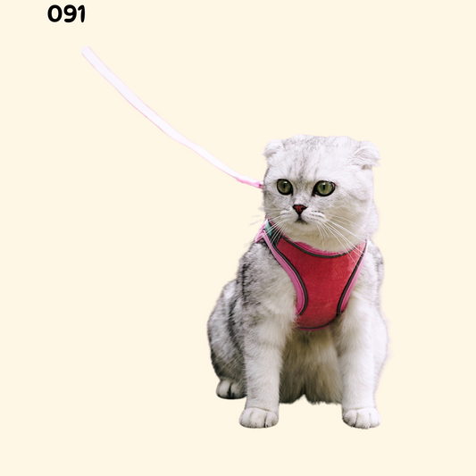 Fashion Harness (A-013)