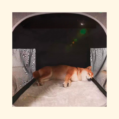 Soft House Nest for Dog (B-2)